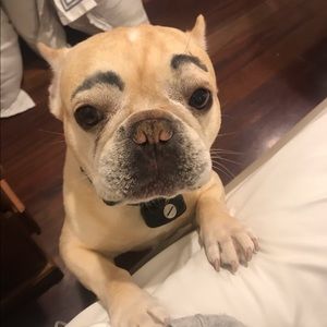 Meet your Posher, Trent